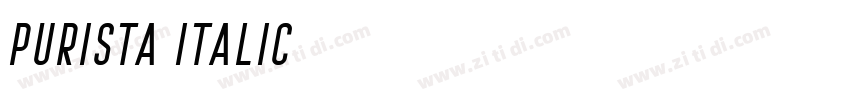 Purista Italic字体转换 Purista Italic字体转换
